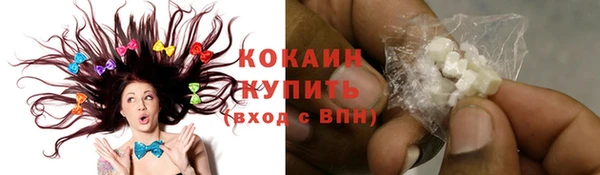 мдпв Осташков