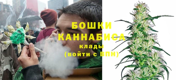 трава Алзамай