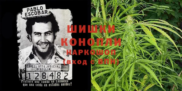 гидра Алексин